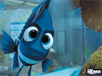 finding_nemo_001_1024.jpg